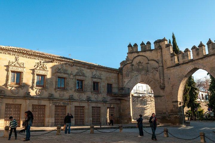 Viagem privada de um dia a Úbeda e Baeza de Granada com ingressos