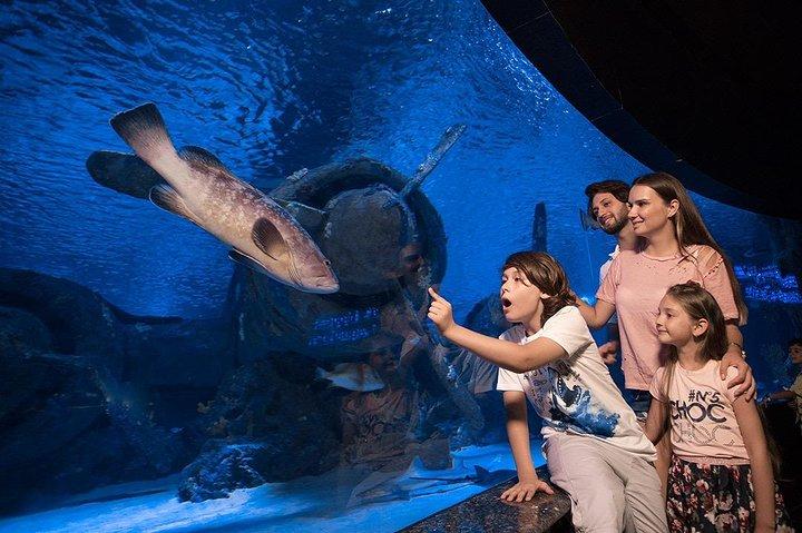 アンタルヤ水族館ツアー プラチナ ツアー