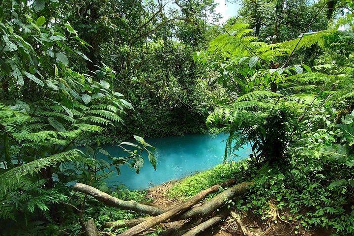 Rainforest Hiking, Sloth & wild life sanctuary, Celeste Waterfall Private Tour