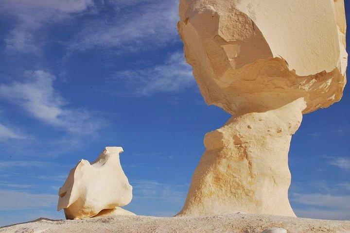 カイロ:3日間の白と黒の砂漠サファリ旅行