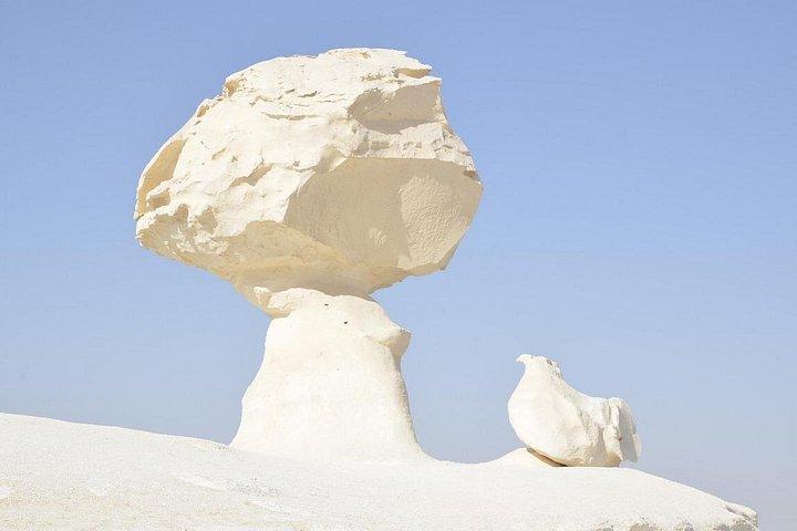 カイロ:3日間の白と黒の砂漠サファリ旅行