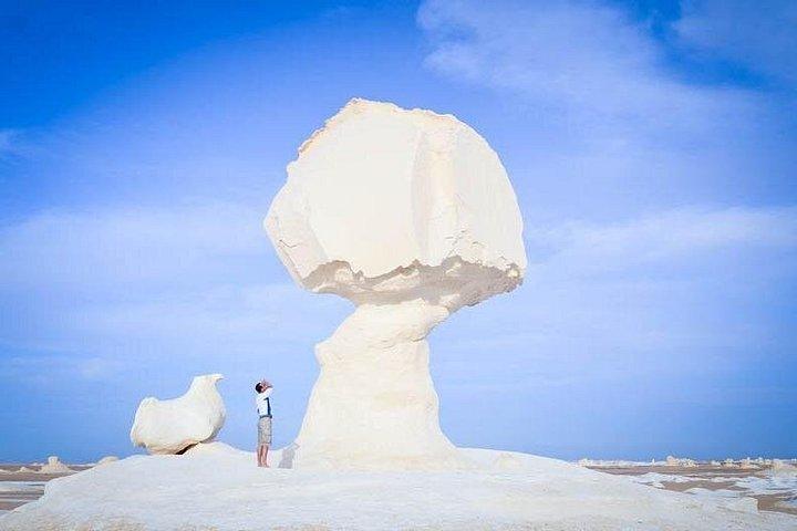 カイロ:3日間の白と黒の砂漠サファリ旅行