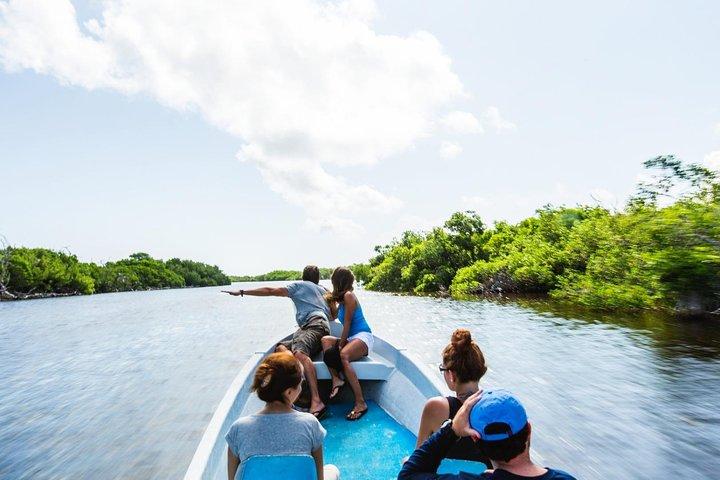 Heldagstur til Las Coloradas Pink Paradise i Yucatan og Rio Lagartos.