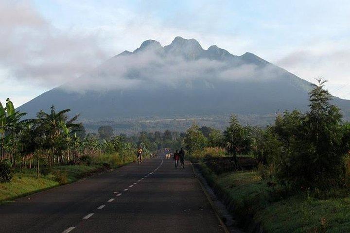 Udflugt Gorilla Trekking i Rwanda