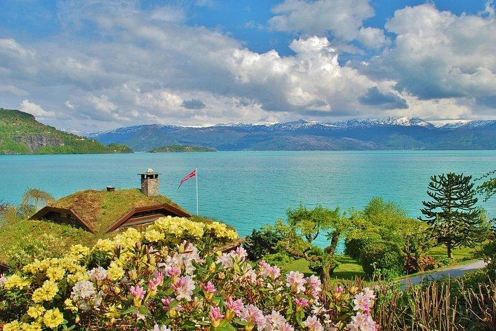 驚異のHARDANGER FJORD：ベルゲンからのプライベートガイド付き往復、10時間