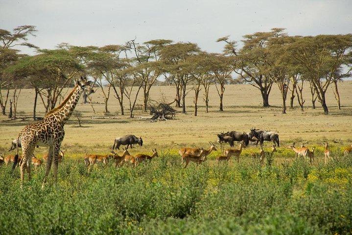 Full-Day Guided Tour to Crescent Island from Nairobi