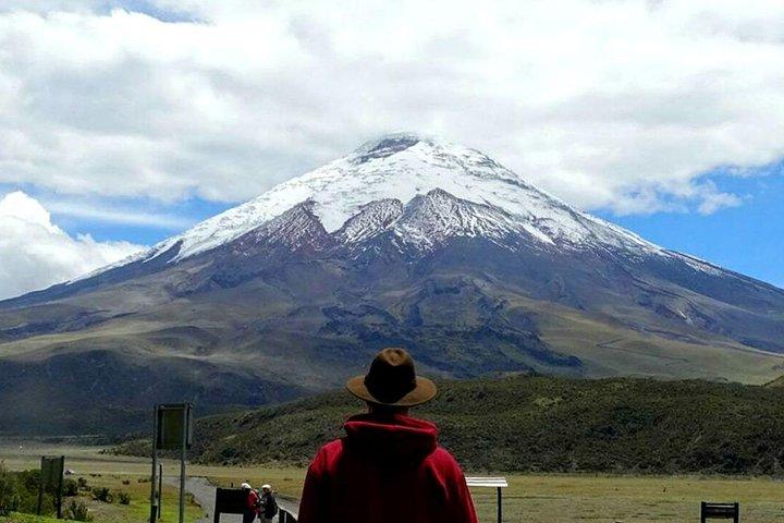 Caminata Cotopaxi y Caballo
