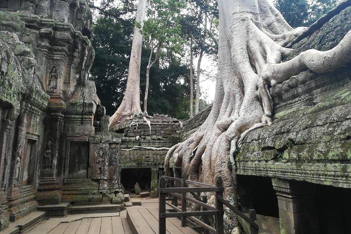 Half Day Angkor Wat Sunrise Private Tour