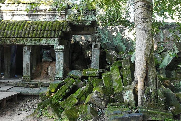 Half Day Angkor Wat Sunrise Private Tour