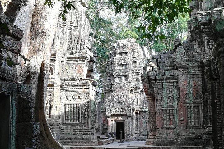 Half Day Angkor Wat Sunrise Private Tour