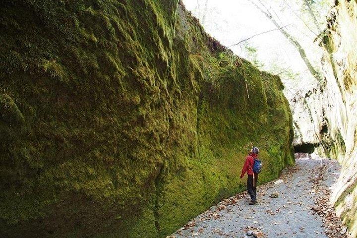 支笏湖とモスキャニオンのプライベート日帰り旅行