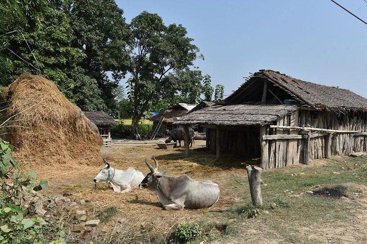 5 Tage exklusive Exposition, um alte ländliche Landwirtschaft in der Nähe des Pokhara-Tals zu lernen