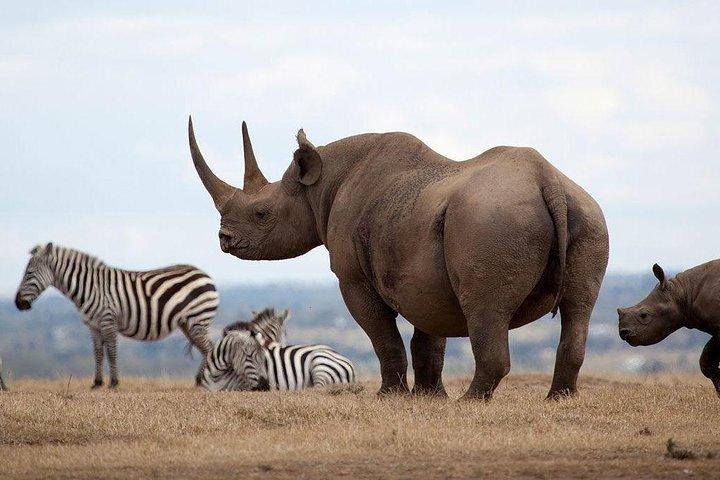 2-dagars Aberdares National Park Safari