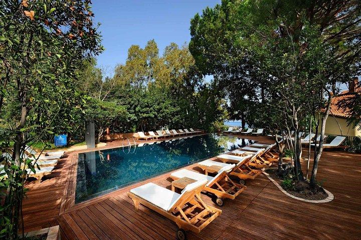 Alberi del Paradiso, Cefalù for APT Palermo eller vice versa, Privat overførsel