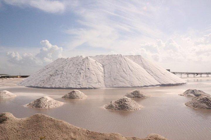 Heldagstur til Las Coloradas Pink Paradise i Yucatan og Rio Lagartos.
