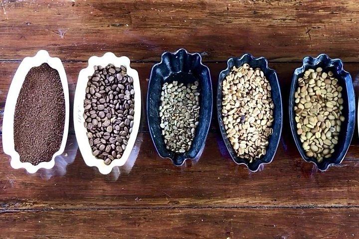 Blue Mountains Coffee Private Tour von Kingston