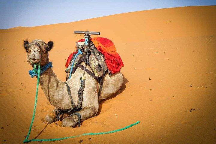 5 dagar Merzouga Sahara-tur från Marrakech med pickup