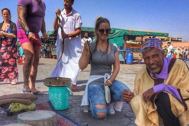 Half-Day Private Guided Tour of Marrakech Medina with Pickup