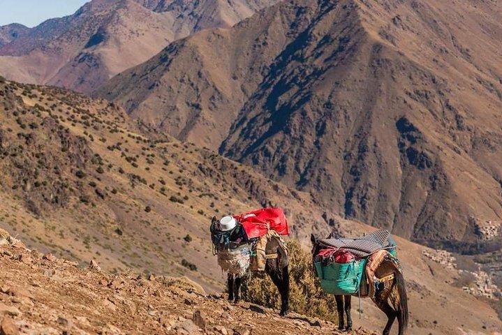5-daagse privé Atlas Mountains Trek vanuit Marrakech