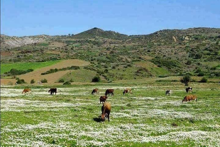 5-daagse privé Atlas Mountains Trek vanuit Marrakech