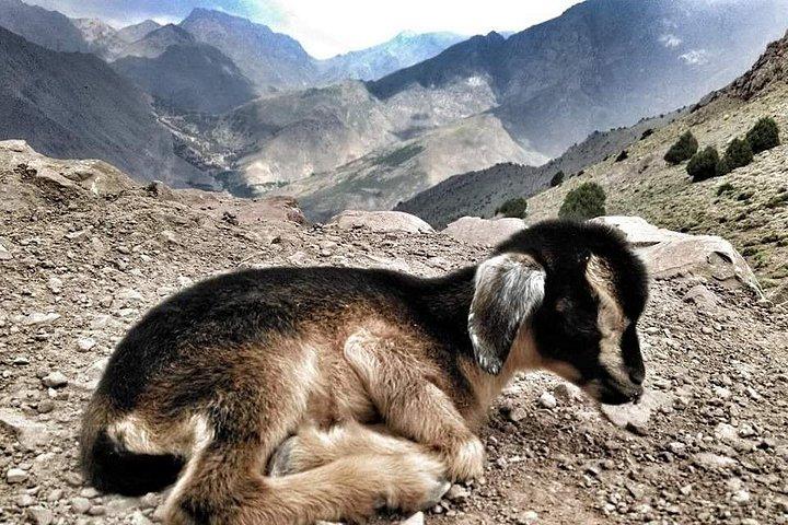 3 Valleys and Berber Villages 4 Day Tour from Marrakech