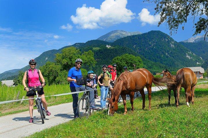 8-dages cykeltur fra Alperne til Adriaterhavet: Bled - Ljubljana - Istrien