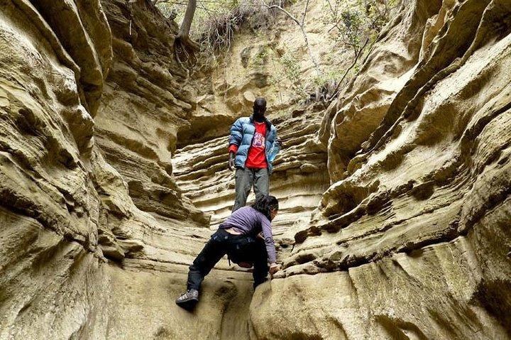 Excursion d'une journée au lac Naivasha et à l'île Crescent