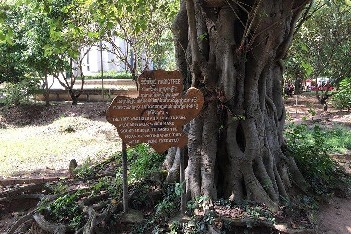 Privater halber Tag zum Töten von Field & S21 Genocidal Museum in Phnom Penh