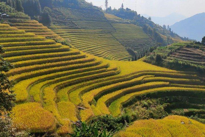 Excursão privada de 6 dias a Xi'an, Guilin, Terraços de Arroz Longji, Sanjiang e Yangshuo