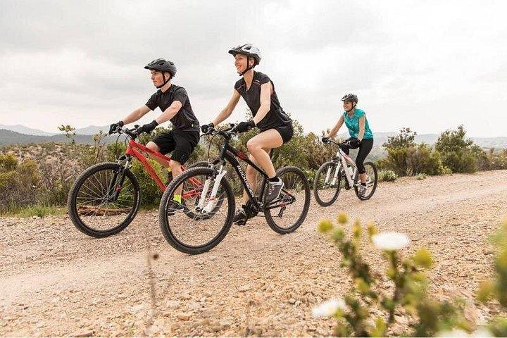 Rent a Mountain Bike from 4 hours until 7 Days explore Maspalomas