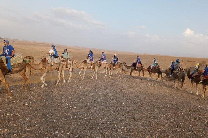 Atlas Mountains And Camel Ride Day Trip From Marrakech