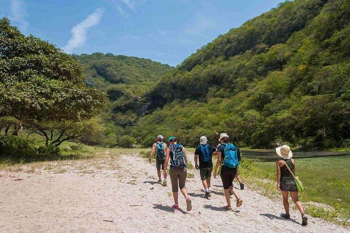 ドファールジャージーズの谷への1日ハイキングツアー