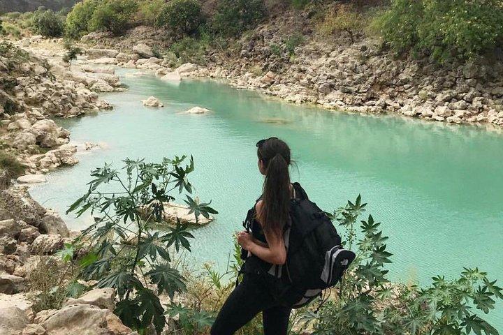 Excursión privada de día completo a las cataratas del valle de Salalah Darbat