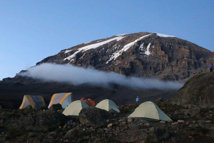 7-dages Kilimanjaro Climb Machame Route – Den bedste vej til Uhuru Peak