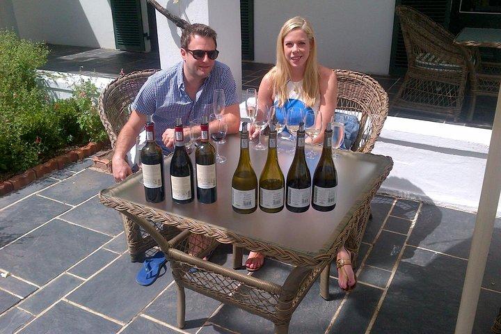 Excursion privée d'une demi-journée : Cape Winelands, Stellenbosch au départ du Cap