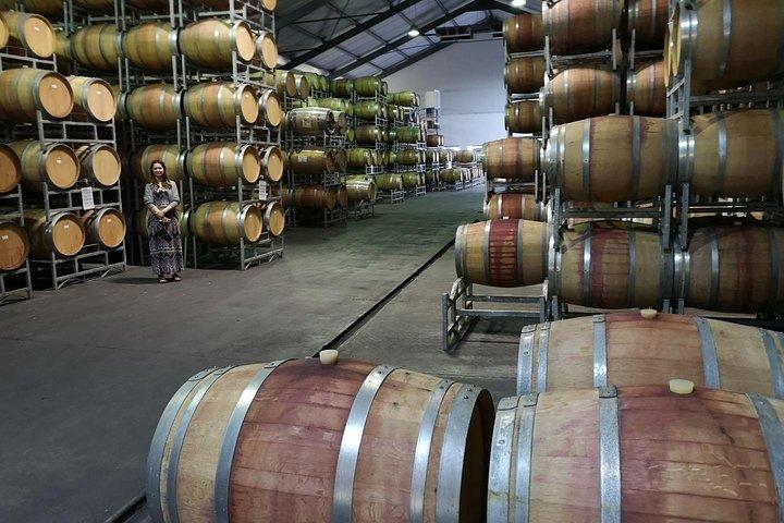 Excursion privée d'une demi-journée : Cape Winelands, Stellenbosch au départ du Cap
