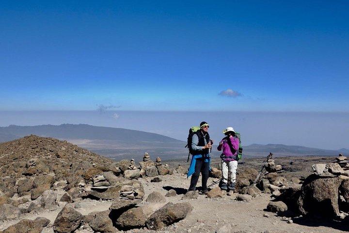 Beklim de Kilimanjaro 8-daagse Lemosho-route met adembenemende uitzichten