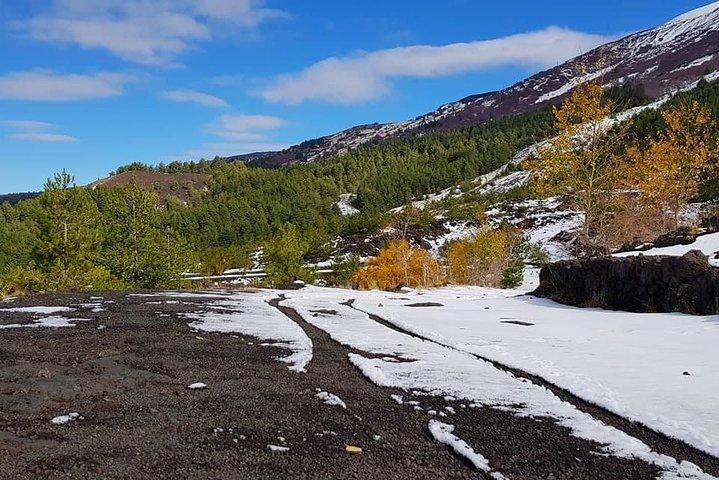 Excursion en VTT de 5 heures sur l'Etna