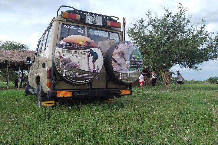 Experiencia de vida silvestre de 10 días en el norte de Tanzania
