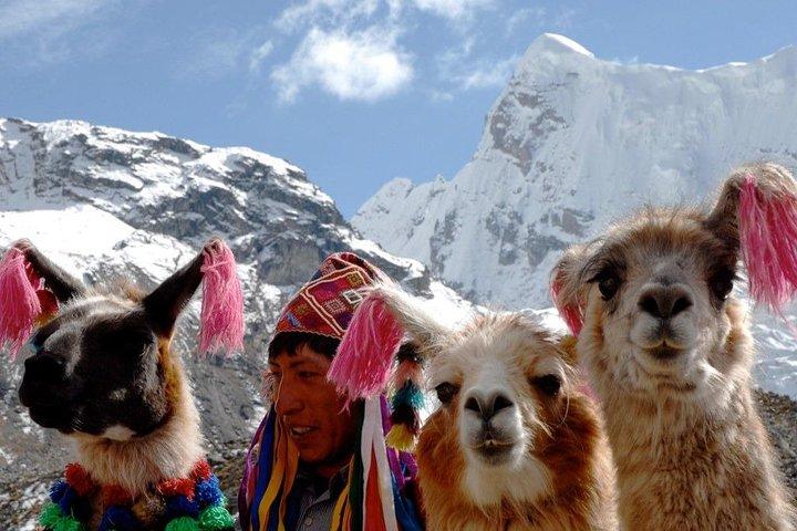 Udflugt til Rainbow Mountain Palcoyo fra Cusco