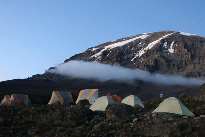 Beklim de Kilimanjaro 8-daagse Lemosho-route met adembenemende uitzichten