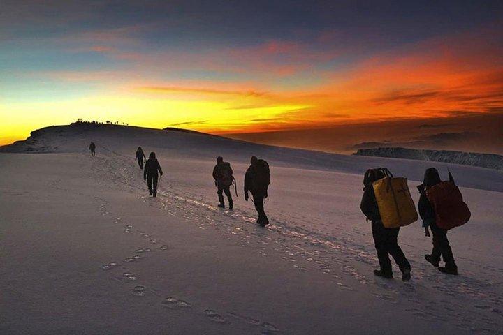Mt Kilimanjaro 360° Trek med Once-in-a-Lifetime Crater Camping