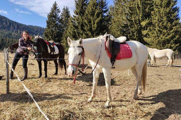 Private 2-Day Horse Riding Trip in Rila from Sofia