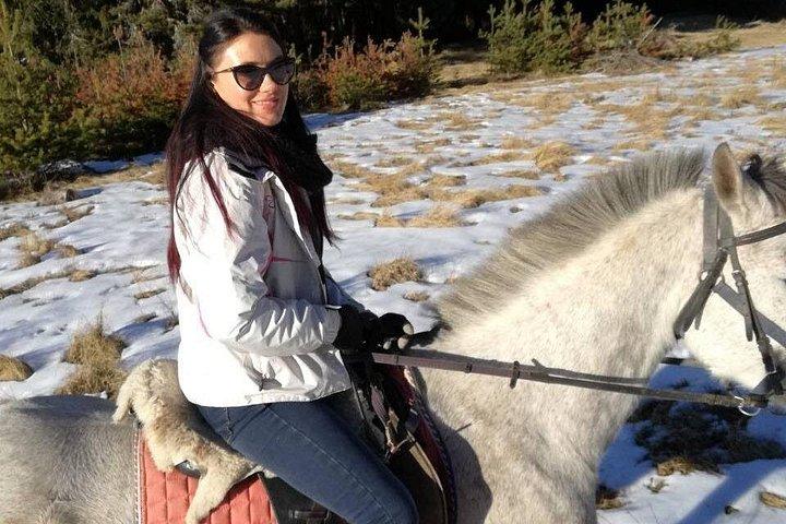 Private 2-Day Horse Riding Trip in Rila from Sofia