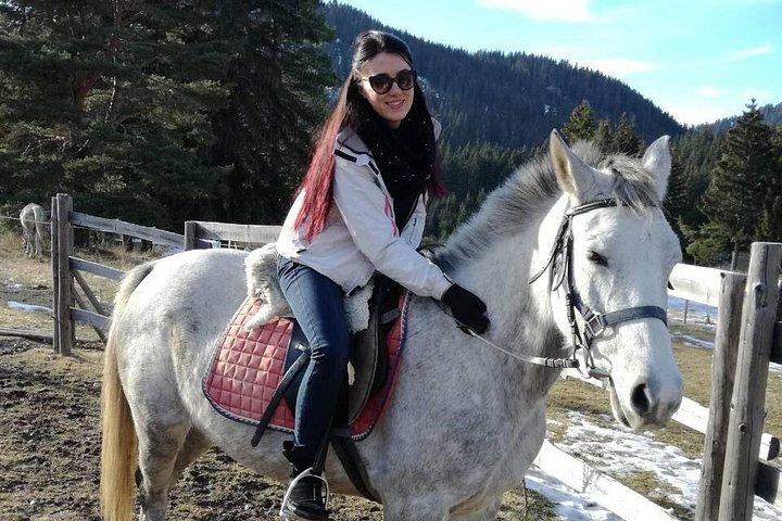 Private 2-Day Horse Riding Trip in Rila from Sofia