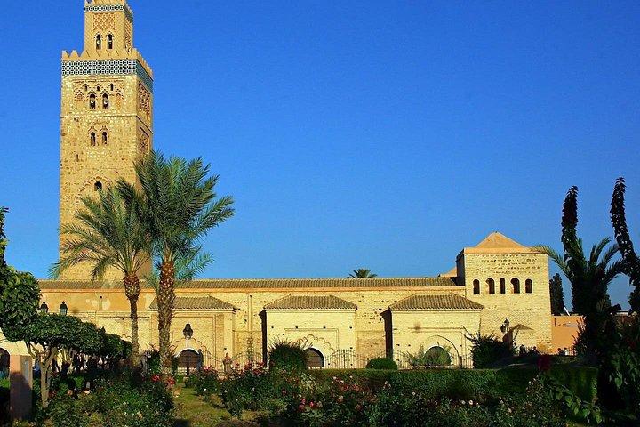 Marrakech-oplevelse: Halvdagsvandring med ekspertguide