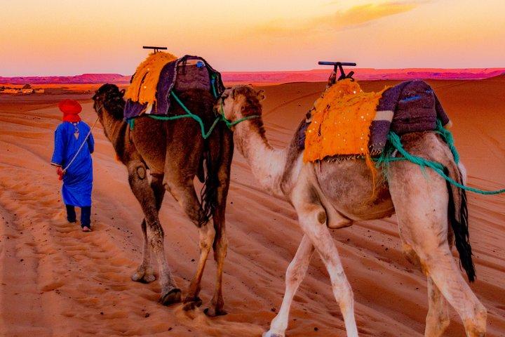 Marrocos Private Tour 8 Dias 7 Noites (Cidades Imperiais e Grand South Tour)