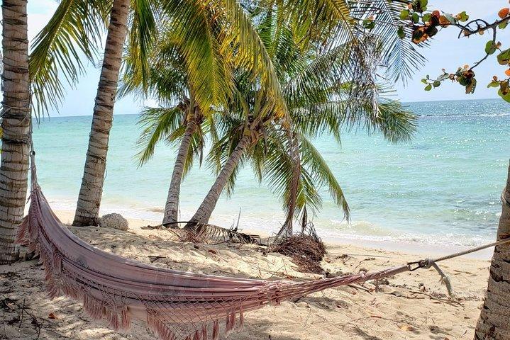 Nassau City Tour : 7 attractions aux Bahamas (échantillons gratuits).