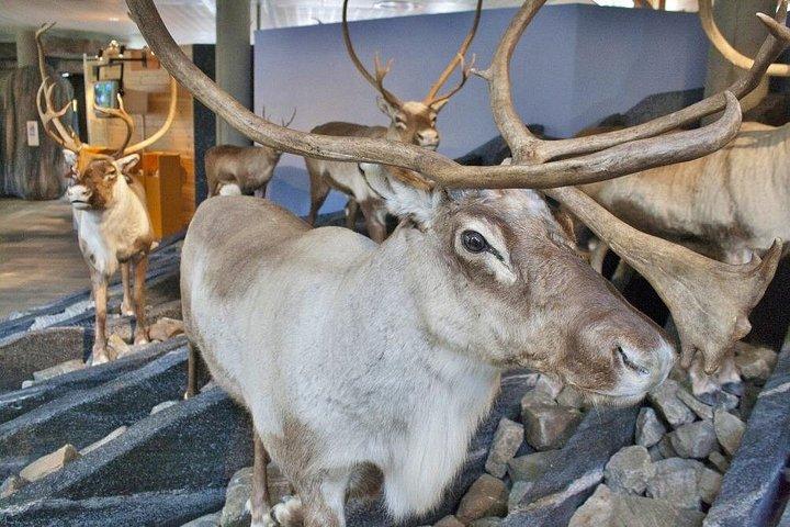 ベルゲンからの2日間の往復：グランドハーダンガー–フィヨルド、滝、氷河