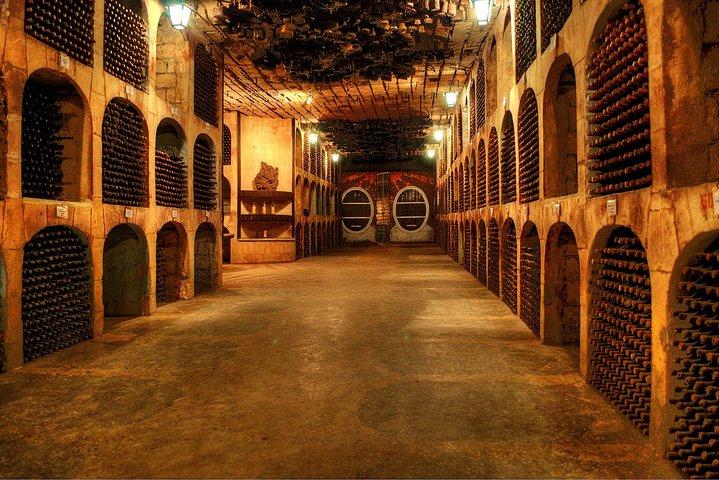Cykling af en Guinness Book Winery